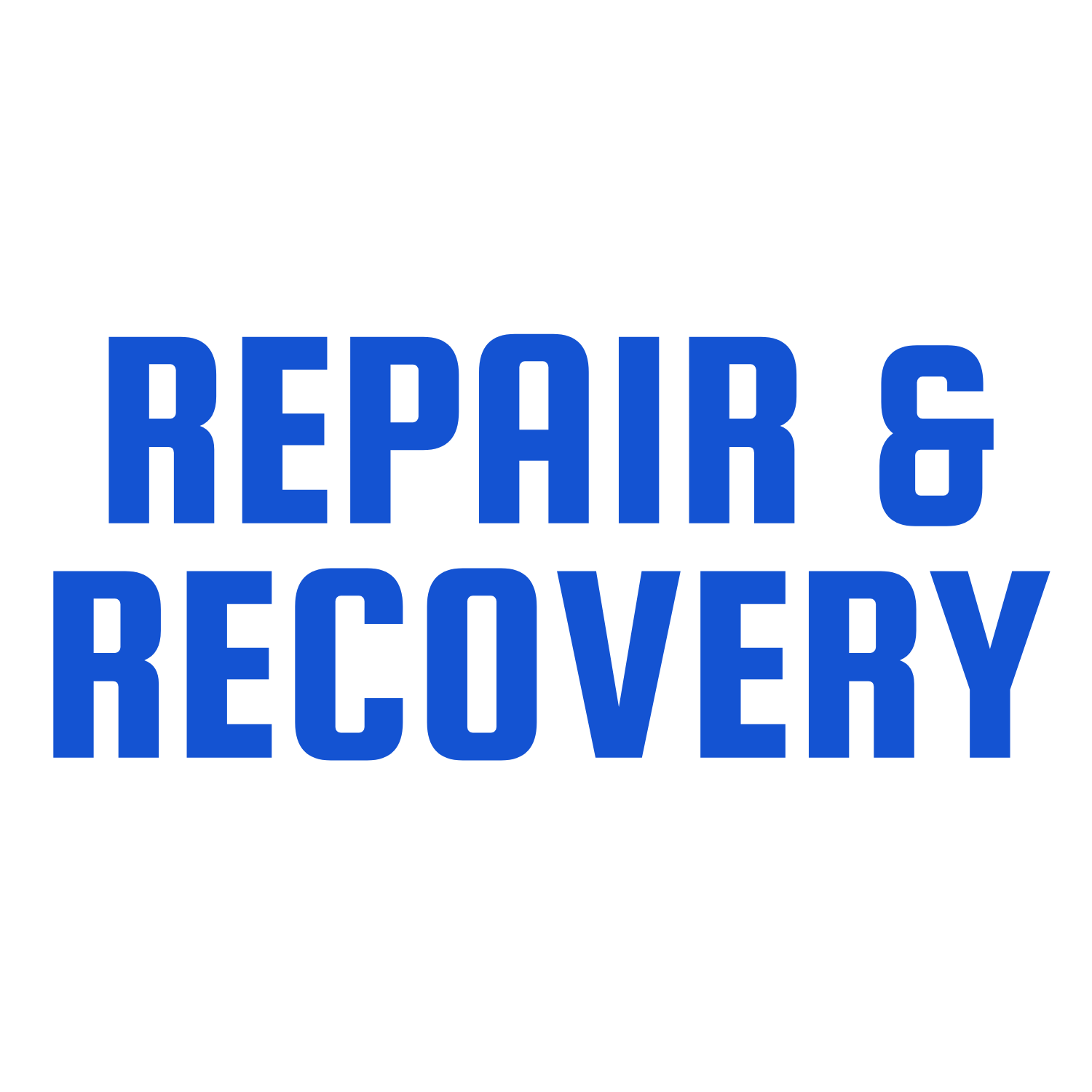 Repair & Recovery